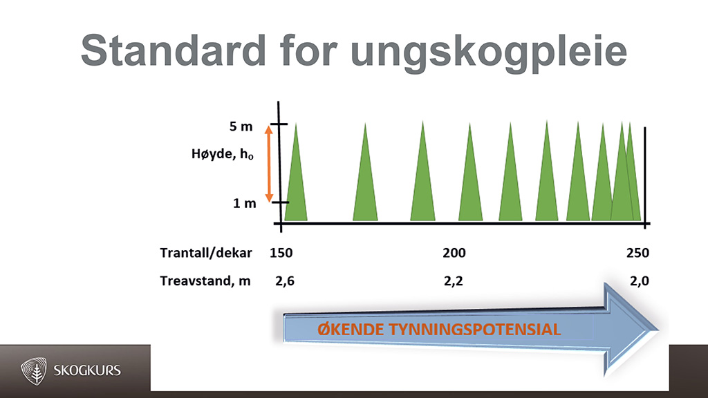 Ny standard for ungskogpleie