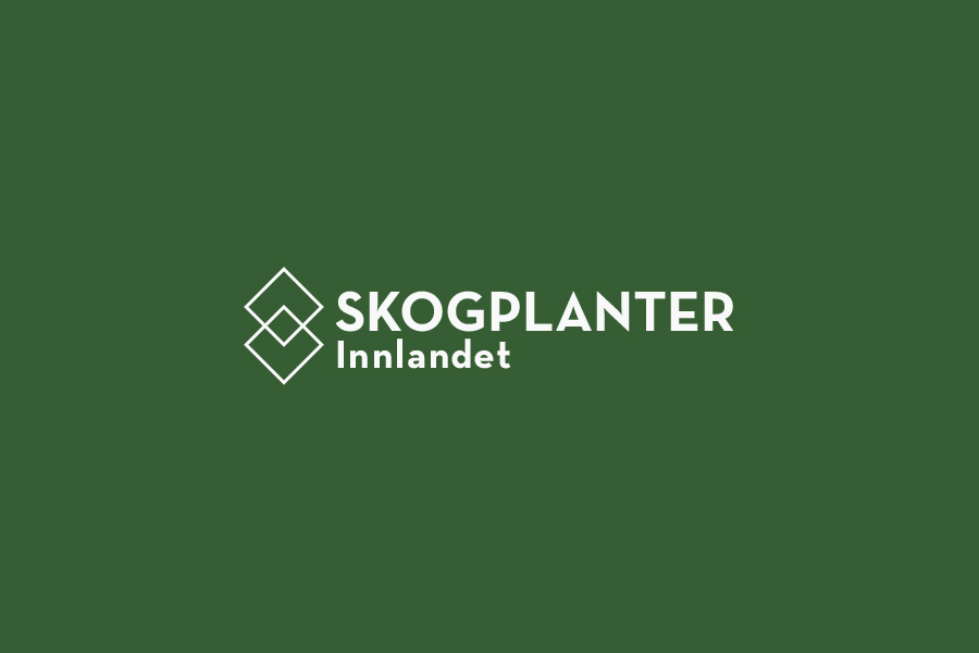 Skogplanter Innlandet - Webannonse, ledig stilling. Daglig leder.