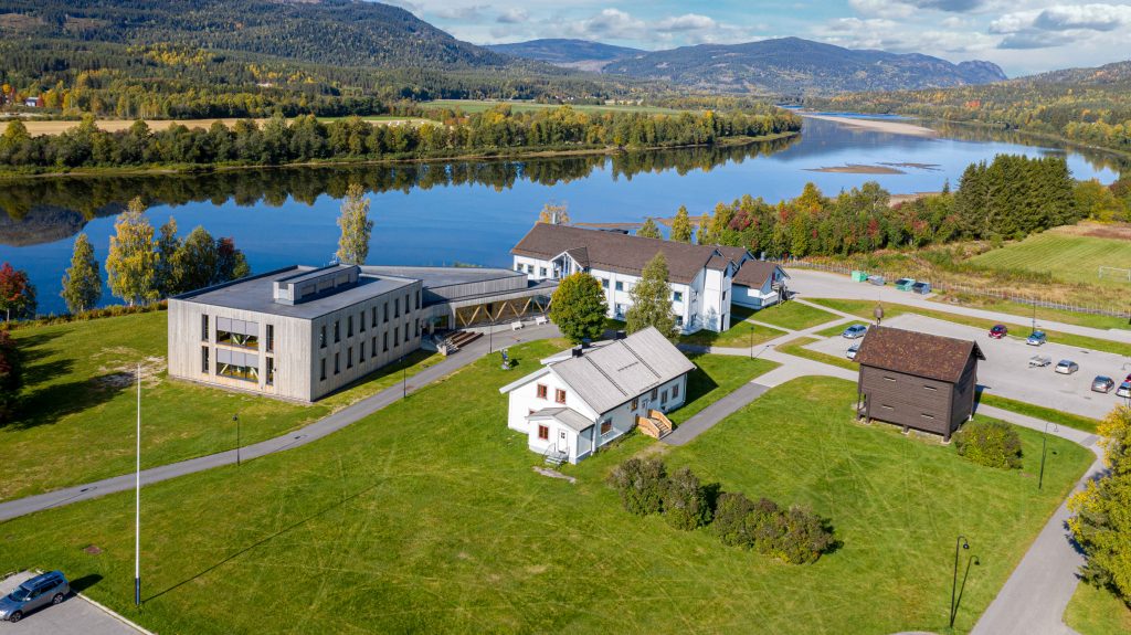 Skog på studieplanen